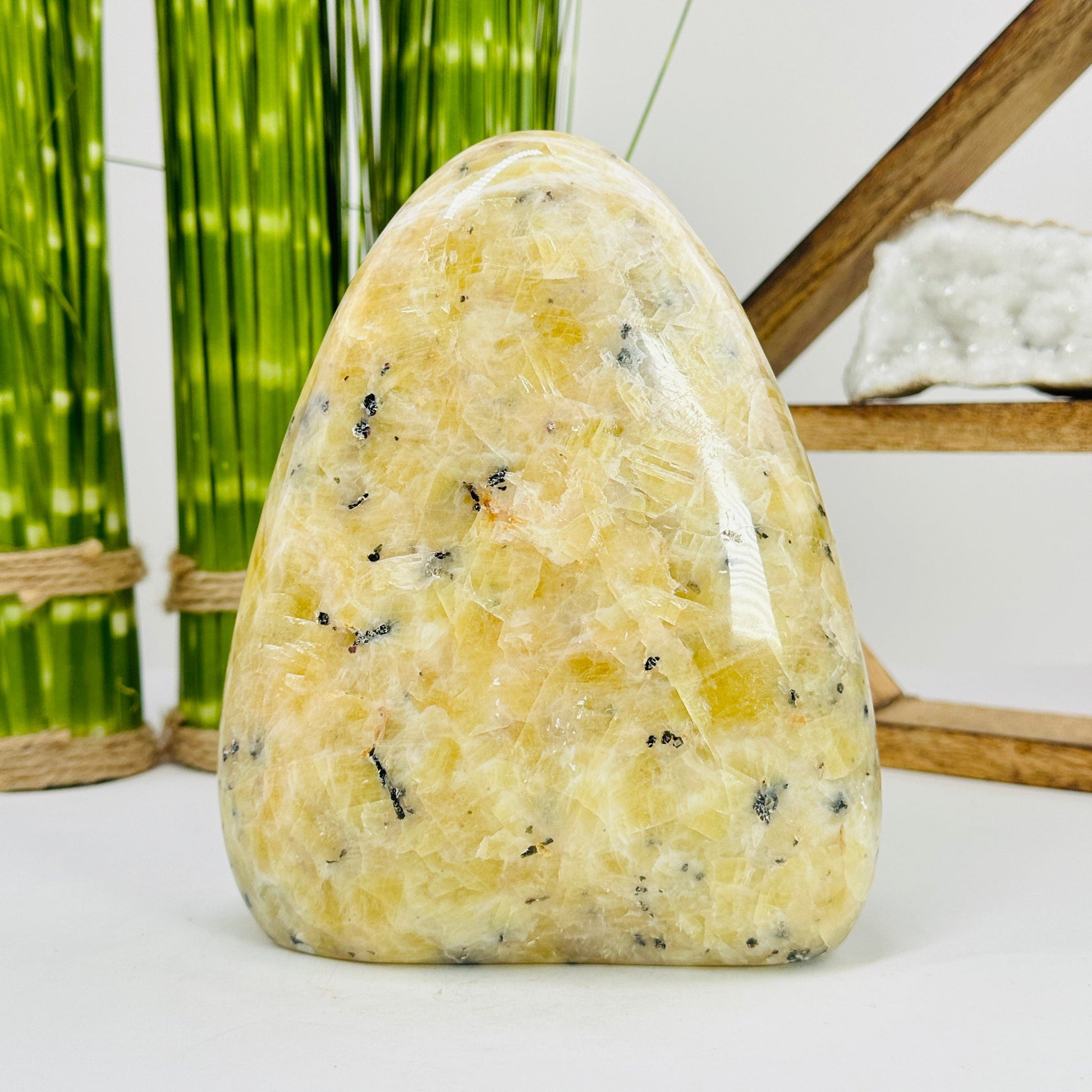 dendrite opal cut base with decorations in the background