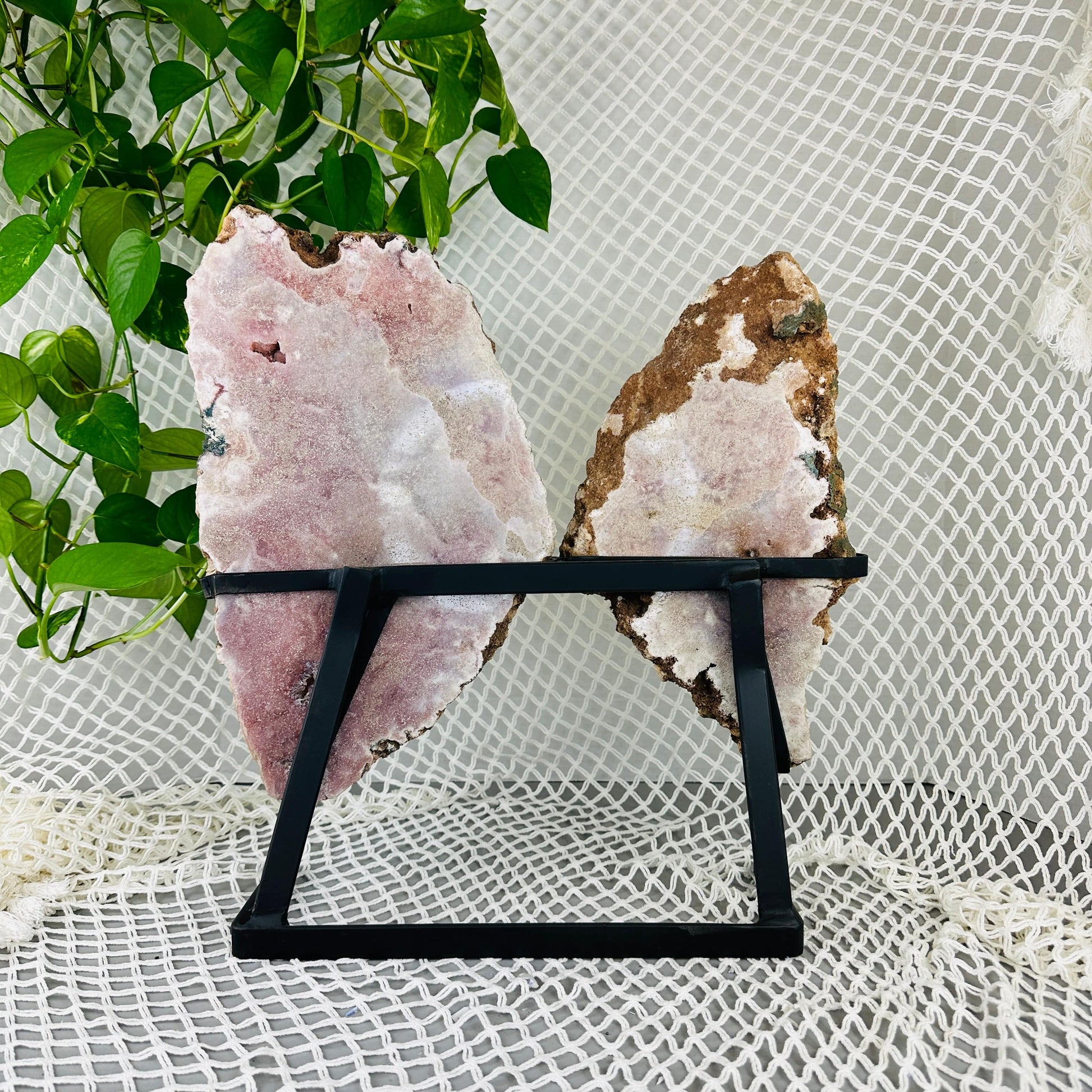 backside of Pink amethyst wings with decorations in the background