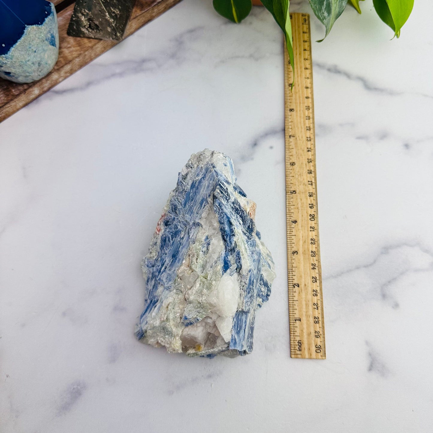 Blue Formation Kyanite With Ruler For Reference 