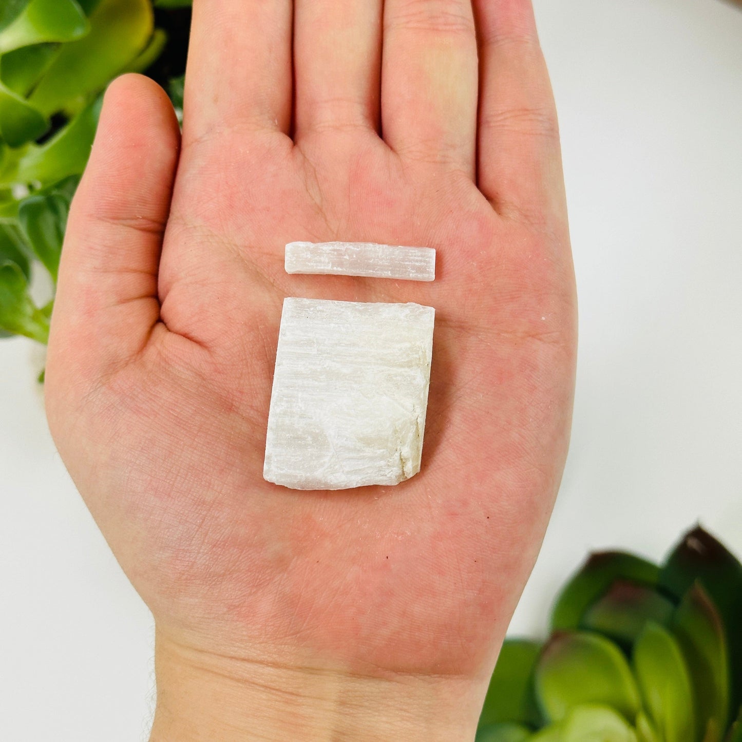 hand holding up 2 selenite chips to show size variations