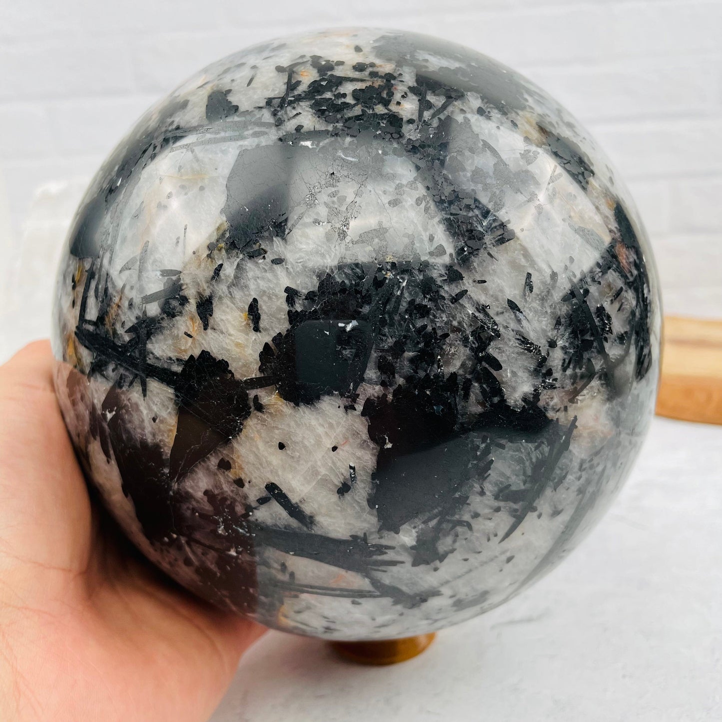Black Tourmilated Quartz Gigantic Sphere - OOAK - - With Hand 