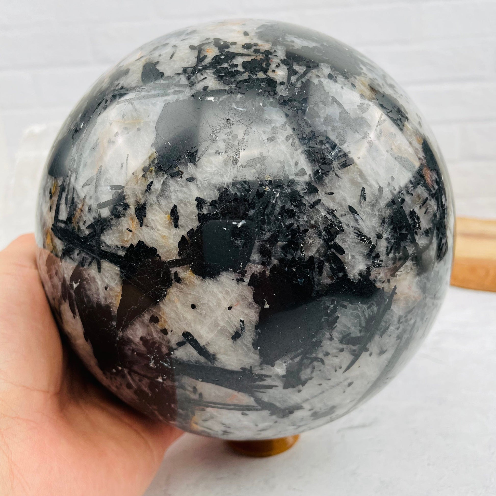 Black Tourmilated Quartz Gigantic Sphere - OOAK - - With Hand 