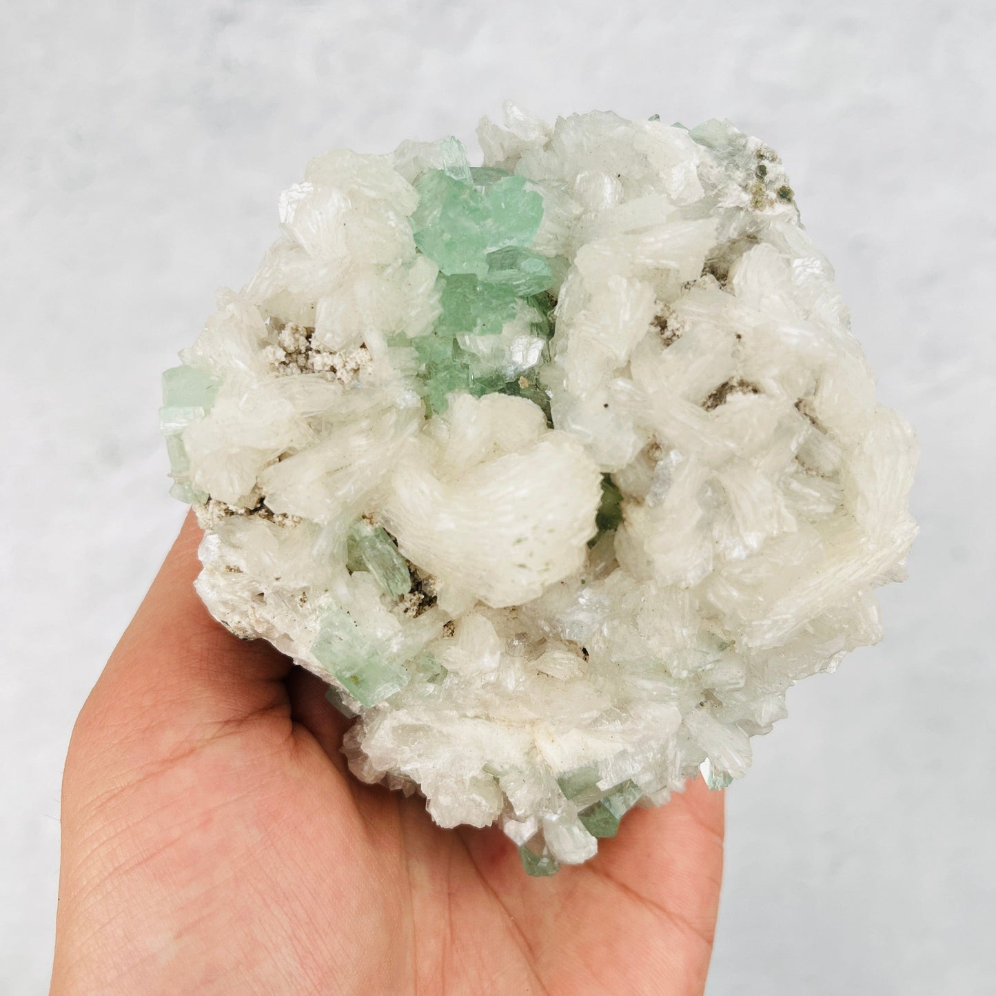 Green Apophyllite with Stilbite Crystal Clusters Zeolites - With Hand For Sizing Reference