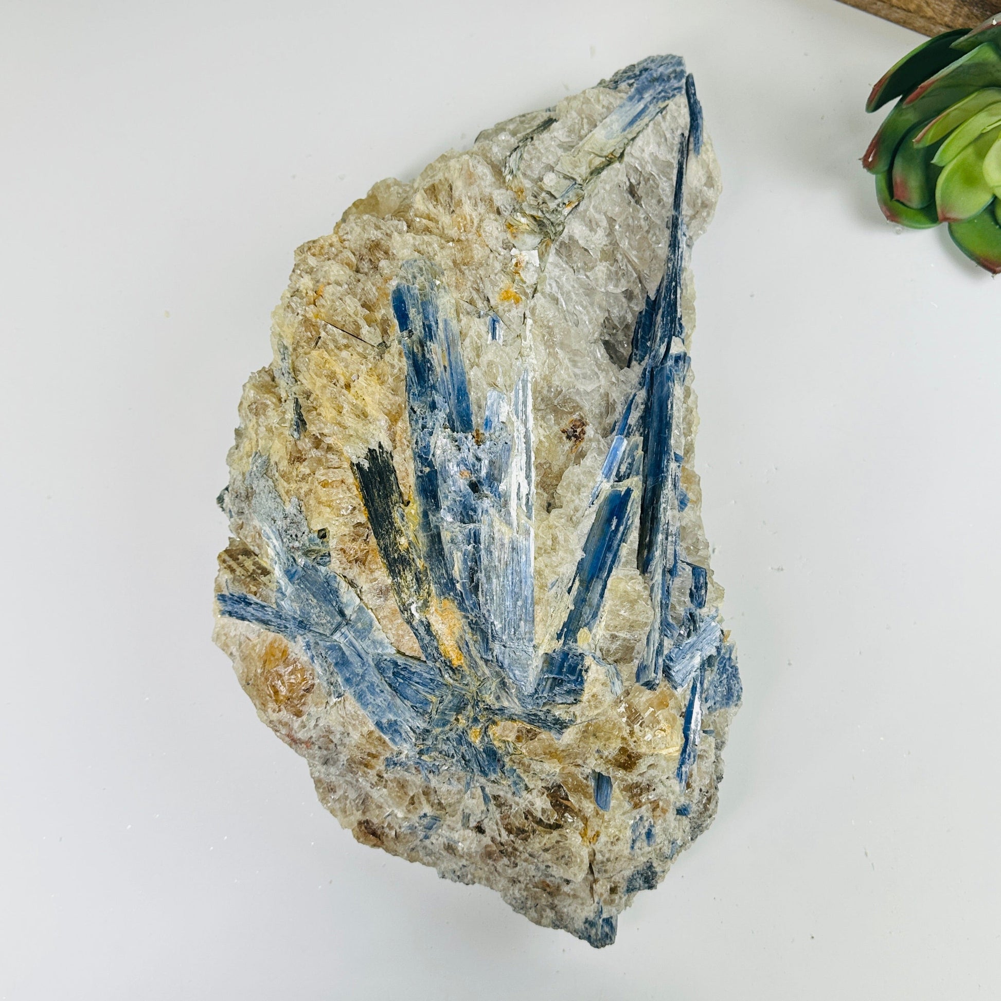 massive kyanite cluster on white background