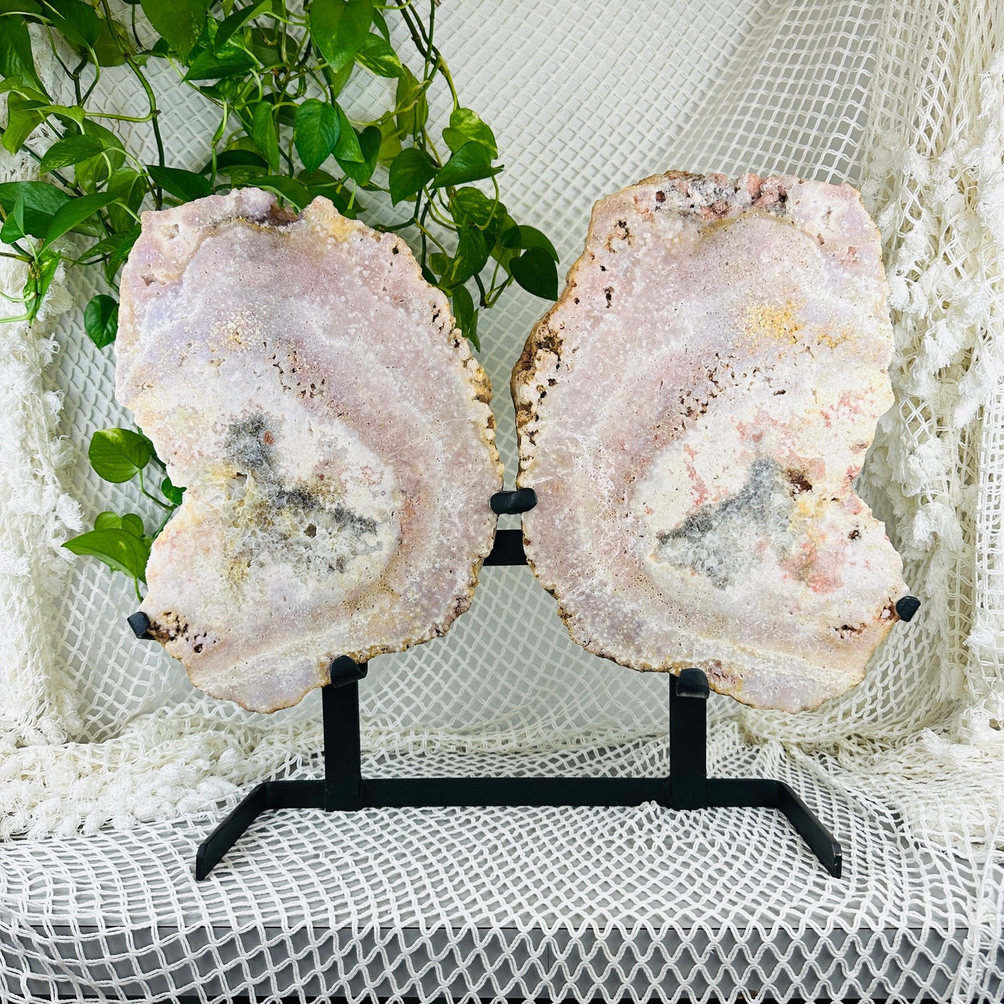 Pink amethyst double wings with decorations in the background