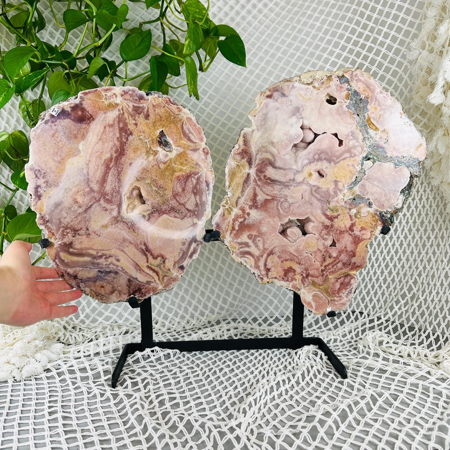 hand next to Pink amethyst pair wings with decorations in the background
