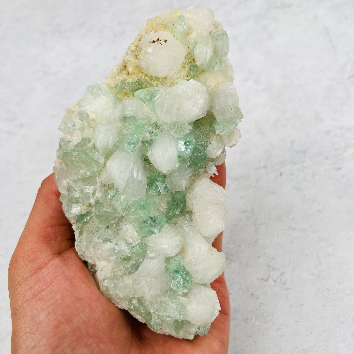 Green Apophyllite with Stilbite Crystal Clusters Zeolites - With Hand For Sizing Reference