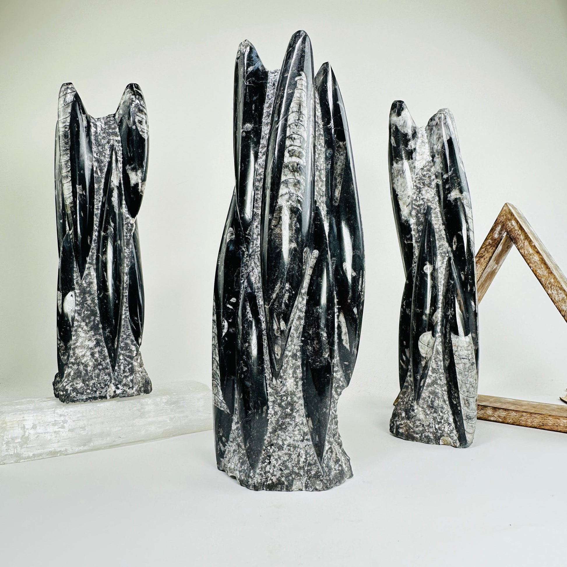 3 orthoceras towers with decorations in the background