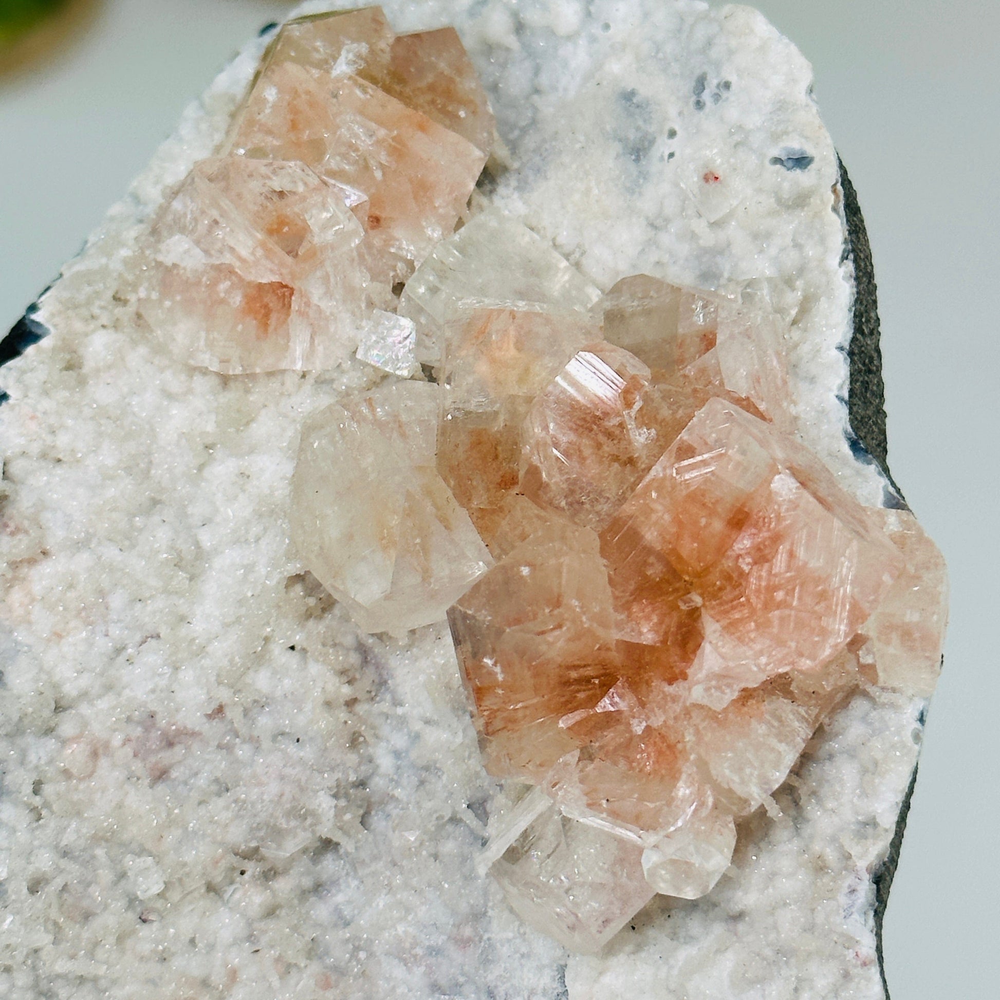 up close shot of peach apophyllite on matrix