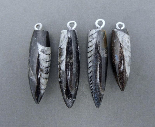 4 orthoceras point pendants on gray background