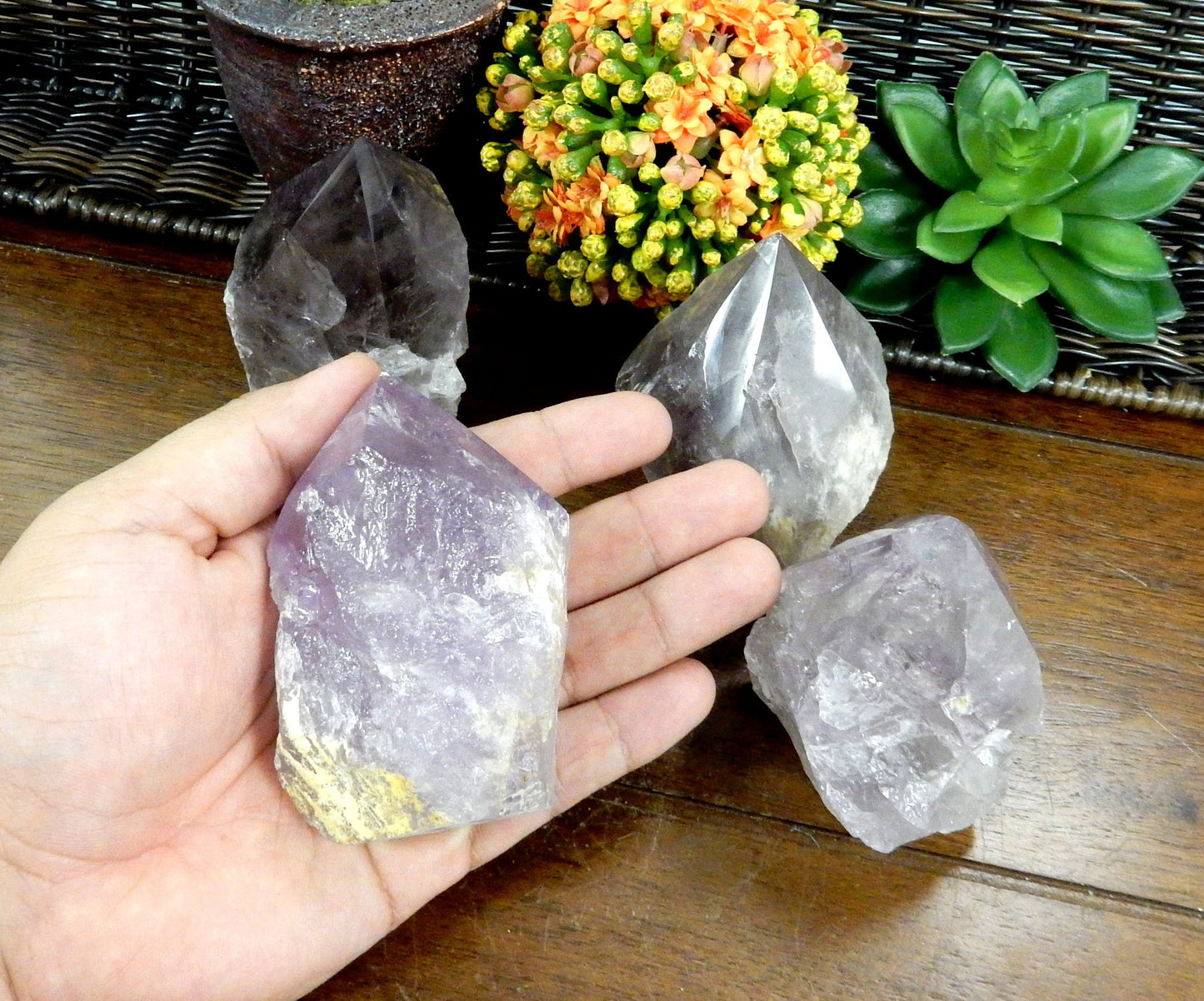 Hand holding up 1 Raw Amethyst Semi Polished Point with 3 others and decorations in the background