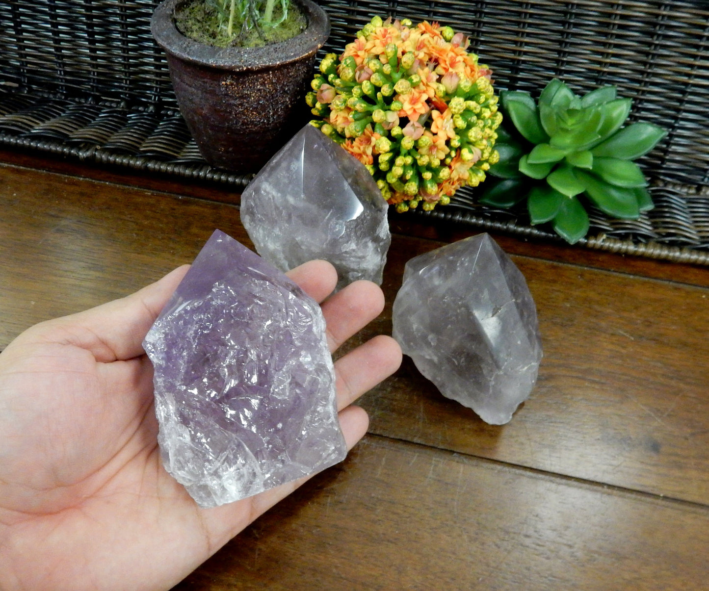 hand holding up Raw Amethyst Semi Polished Point with 2 others and decorations in the background