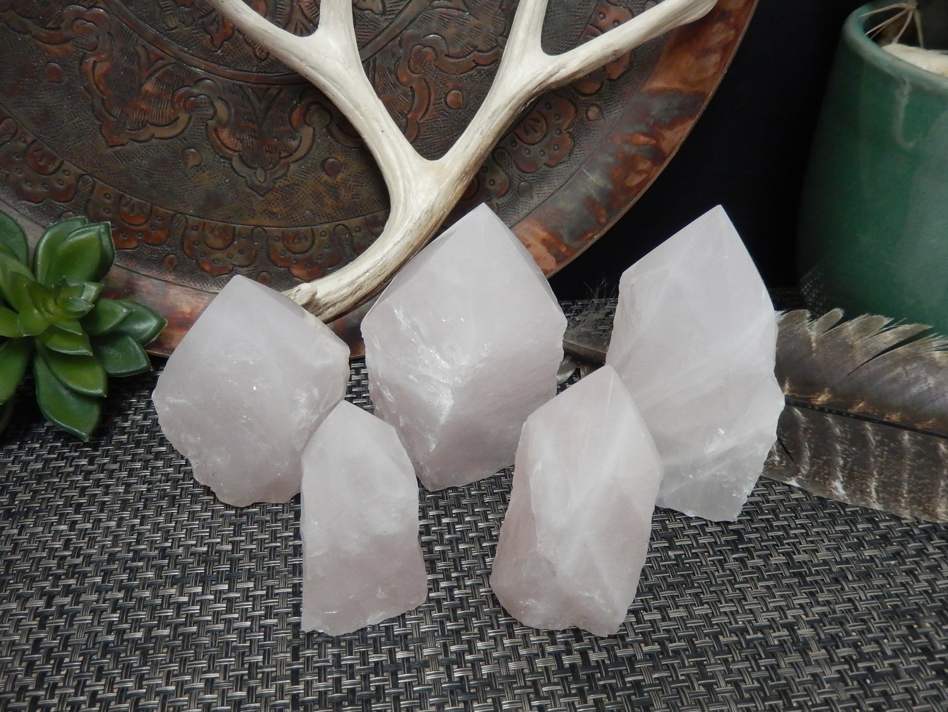 5 Rose Quartz Semi Polished Points of different sizes in front of decorations