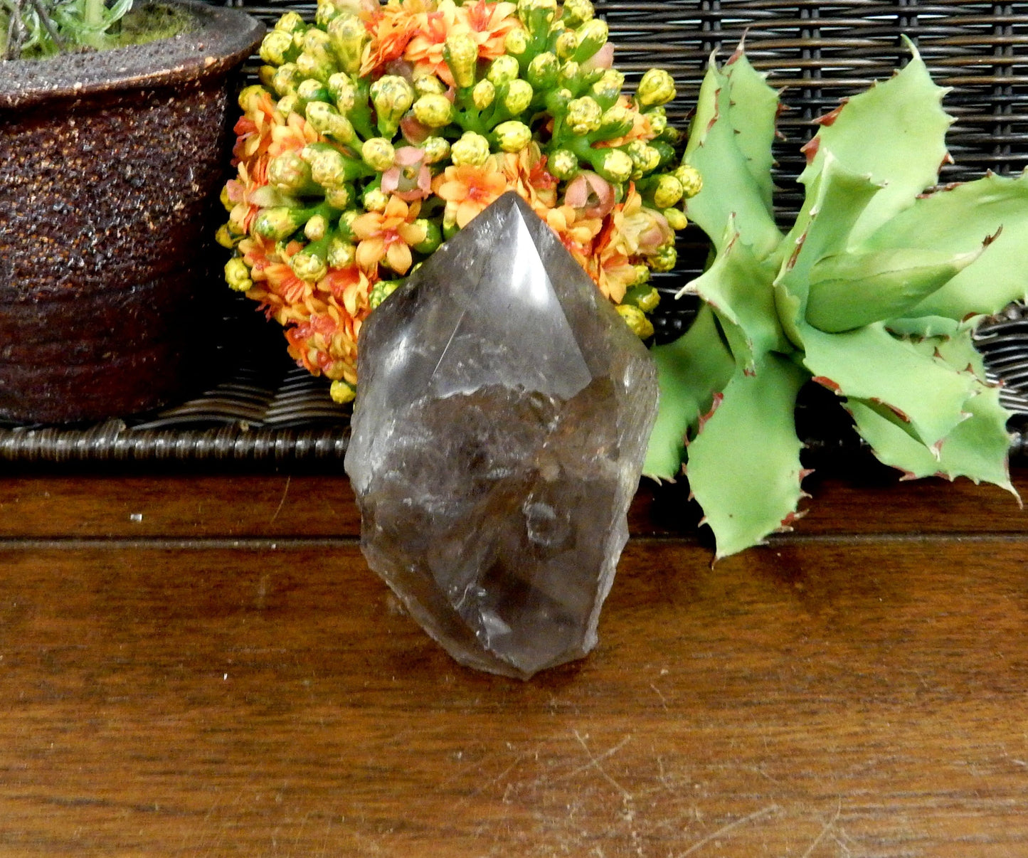  Smokey Quartz Semi Polished Point on wooden table with plants in the background