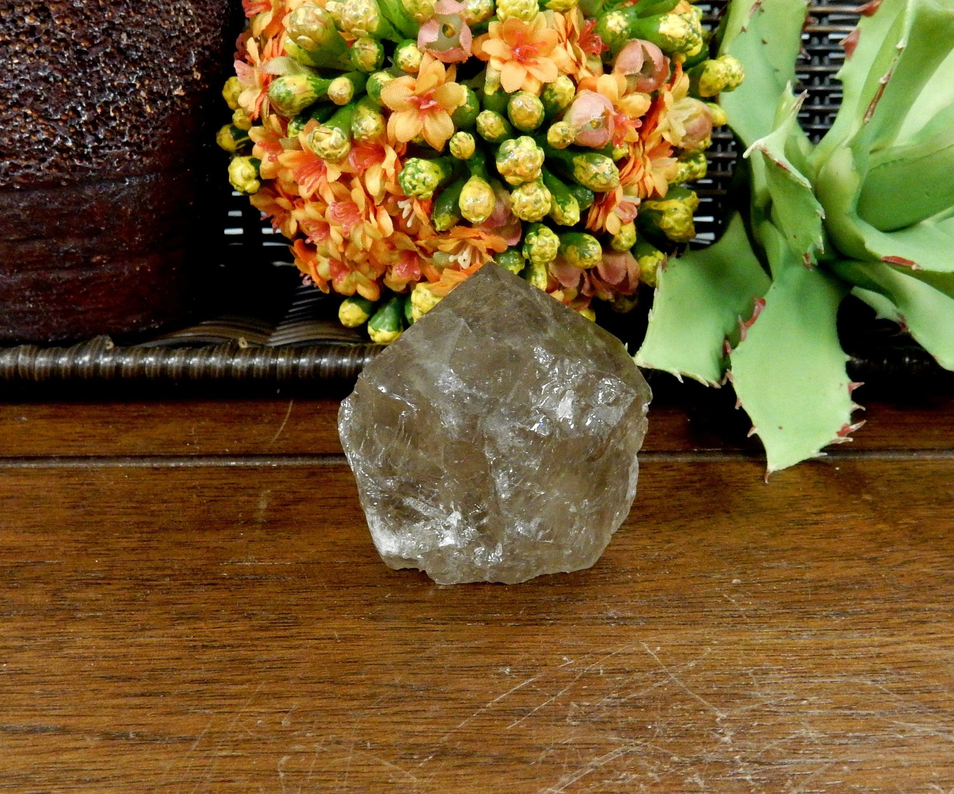  Smokey Quartz Semi Polished Point on wooden table with plants in the background