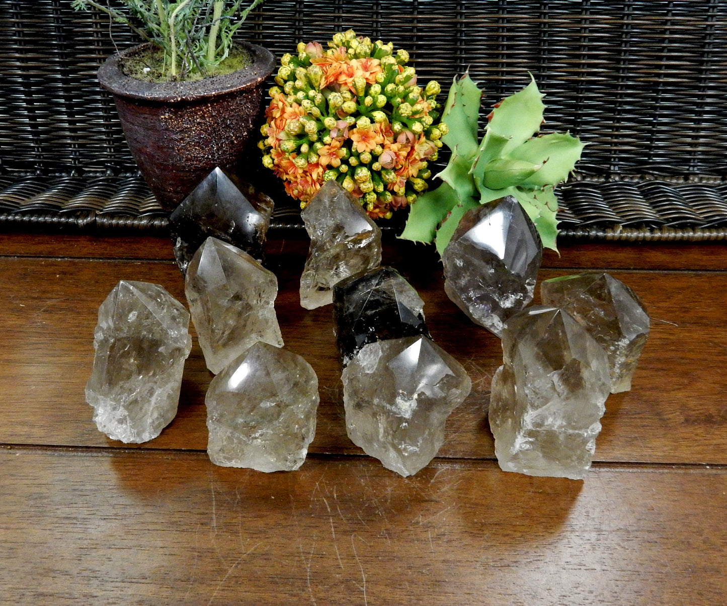 20  Smokey Quartz Semi Polished Points on wooden table with plants in the background