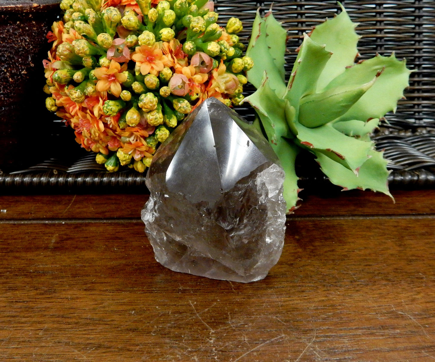  Smokey Quartz Semi Polished Point on wooden table with plants in the background