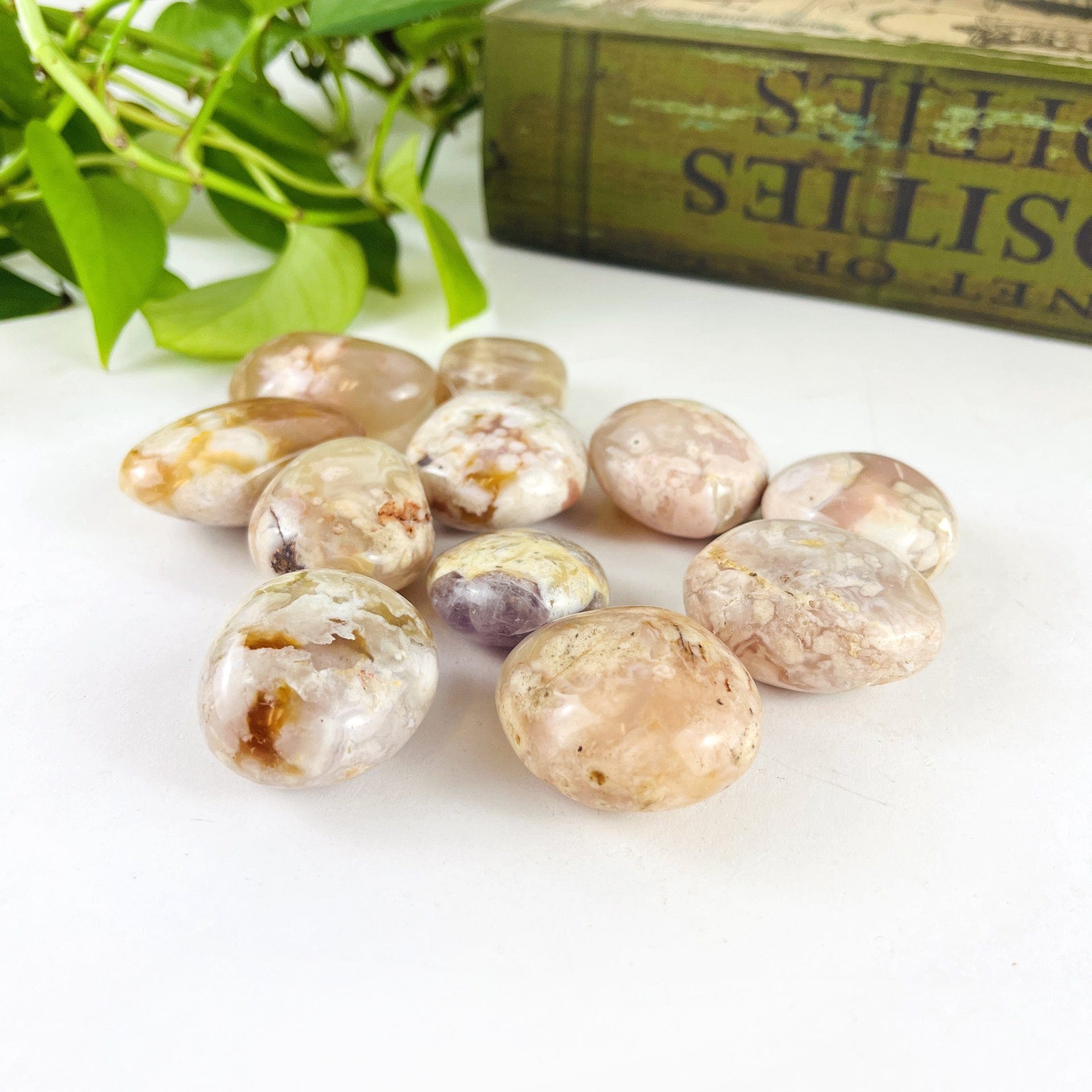 Flower Agate Polished Palm Stones from a side view to show thickness