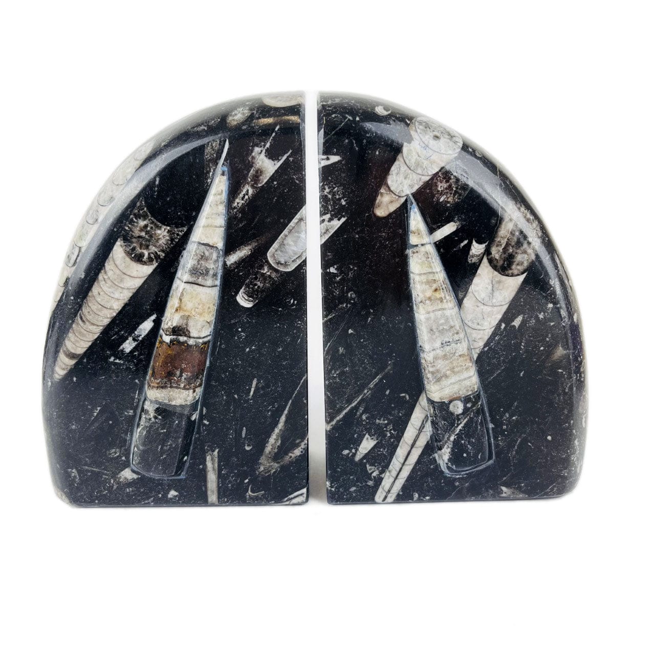 Orthoceras Fossil Bookends - black with the rounded edges