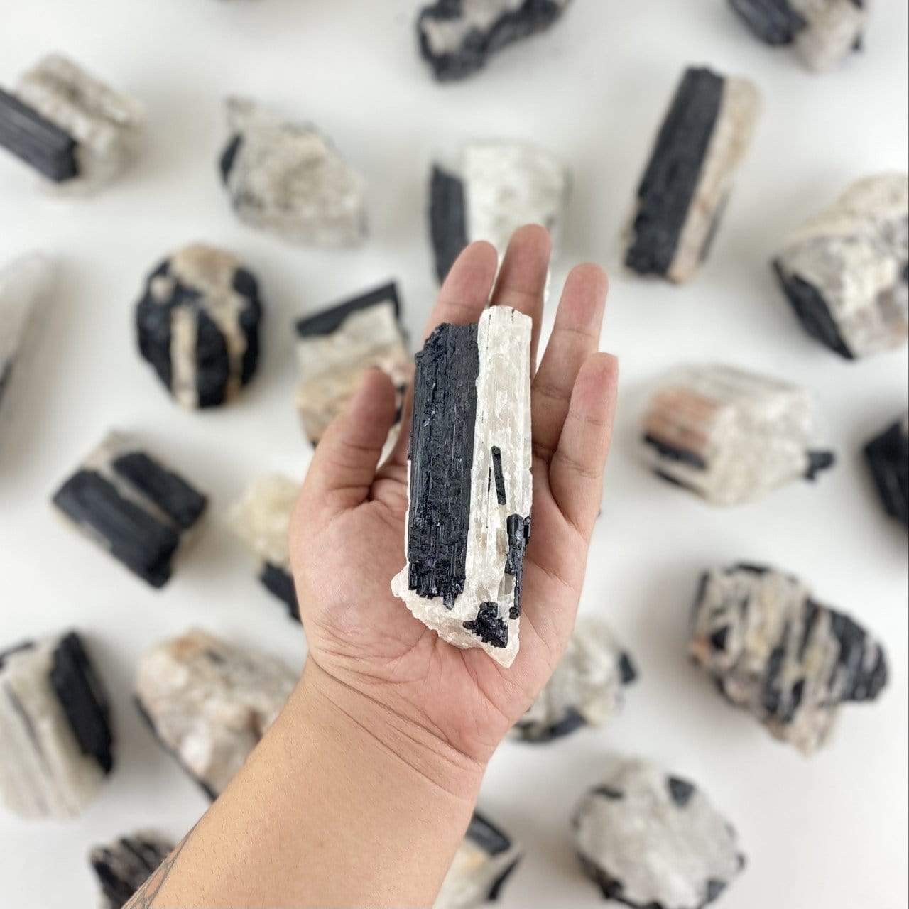 black tourmaline on matrix in hand for size reference