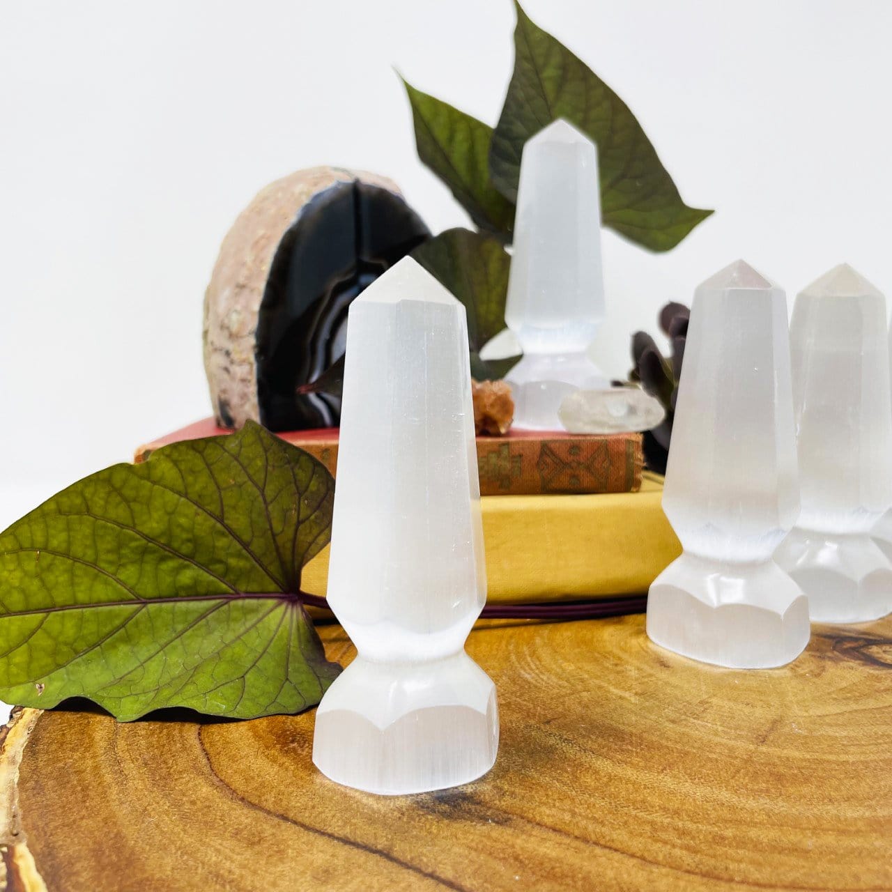 selenite spear tips on dispay